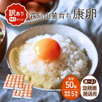 卵 わけありたまご 康卵 216個 破損保証20個含む 赤 MSサイズ 卵 たまご 玉子 タマゴ 鶏卵 鶏 訳あり 国産 九州産 送料無料 卵白 卵黄 ゆで卵 卵かけごはん TKG たまごかけごはん エッグ