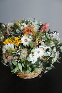 �y�ӂ邳�Ɣ[�Łz�G�߂̃h���C�t�����[�A�����W�����g 1�_ ����18cm�`23cm���x ���� �t�����[ �C���e���A ���� ���� �� �� �h���C�t�����[ ���Y �{�茧 ��B ��������