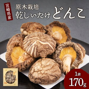 yӂ邳Ɣ[Łz ؍͔|  ǂ 170g a4~6cm p ϔ Mtg 蕨 o`  _V z ̂Ή ő   VC^P ̂ Y BY {