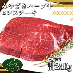 �y�ӂ邳�Ɣ[�Łz�q�� �X�e�[�L �{�� �n�[�u�� 240g�i120g×2���j������ �^��p�b�N �Ⓚ