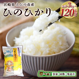【ふるさと納税】【 内容量 / 発送回数 / 発送月が 選べる】米 ひのひかり 3kg 5kg 10kg 定期便 九州 特A 令和7年産 新米 えびの産 ヒノヒカリ 特選米 ブランド米 お米 白米 精米 3ヶ月 6ヶ月 12ヶ月 3回 6回 12回 宮崎県産 宮崎県 えびの市 九州 国産 国産米 送料無料