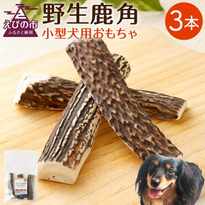 yӂ邳Ɣ[Łzybgpi 쐶p 3{ 10cm 2`3cmx ^p  p ̊p p  K  f^PA {茧Y 