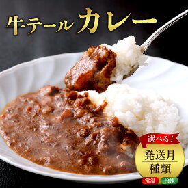 【ふるさと納税】 選べる！牛テール カレー セット レトルト 常温(170g × 6パック 計 1,020g) 冷凍(200g × 10パック 計 2,000g) ビーフカレー 肉 牛 レトルトカレー レトルト食品 ギフト 常温 常温保存 常備食 保存食 防災 備蓄 非常食 防災食 冷凍 簡易包装 送料無料