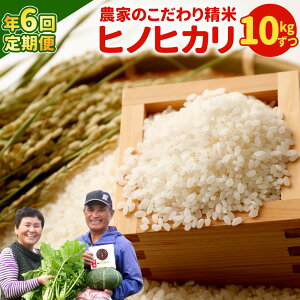 yӂ邳Ɣ[Łzy N6z_Ƃ̂  qmqJ 10kg×6 v60kg  Y {茧 B 