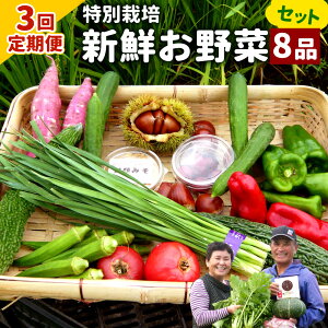 yӂ邳Ɣ[Łzy3ցzʍ͔|G߂̂؃Zbg 8i  VN ₳ { l Y {茧 B 