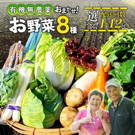 【ふるさと納税】【選べる 配送回数】特別栽培季節のお野菜セット 8品 野菜 定期便 無農薬 有機栽培 新鮮 やさい 旬 詰合せ 国産 宮崎県 九州 送料無料