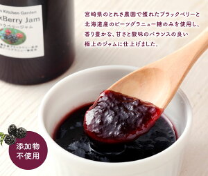 【ふるさと納税】ブラックベリージャム5本セット125g×5本合計625gフルーツ果物瓶加工品手作り宮崎県九州送料無料