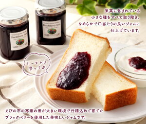 【ふるさと納税】ブラックベリージャム5本セット125g×5本合計625gフルーツ果物瓶加工品手作り宮崎県九州送料無料