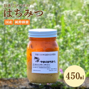 yӂ邳Ɣ[Łz݂͂ {I̖I 450ml I SԖ  VR100% I M nj[ g[Xg p [Og B R[q[ g Y 