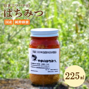 yӂ邳Ɣ[Łz݂͂ {I̖I 225ml I SԖ  VR100% I M nj[ g[Xg p [Og B R[q[ g Y 