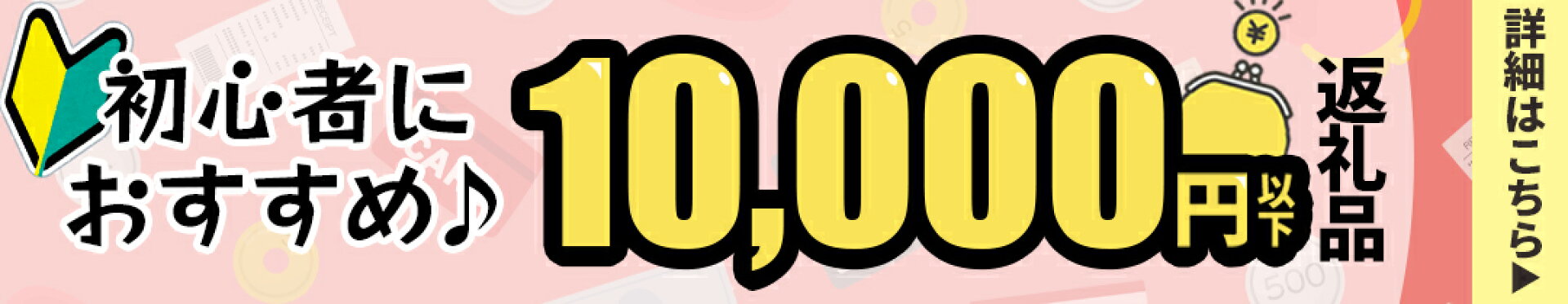 10,000円以下返礼品