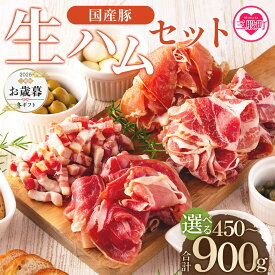 【ふるさと納税】内容が選べる＜国産豚生ハムバラエティーセット(計450g/900g)＞ お中元 お歳暮 父の日 母の日 豚モモ 豚バラ 肩肉 スライス 切り落とし パンチェッタ 短冊 コッパスライス サラダ おつまみ 小分け 贈り物 高評価 夏ギフト 【MI270-pl】【株式会社プラス】
