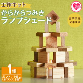 【ふるさと納税】＜工作キット からからつみきランプシェード 1個＞ 木のおもちゃ 知育玩具 子供 おもちゃ 積木 知育 玩具 子供 子ども用 プレゼント 宿題 ギフト 国産 宮崎県産 杉 木工 こうさく 簡単 かわいい 買い回り 【MI401-bo】【boofoowoo】