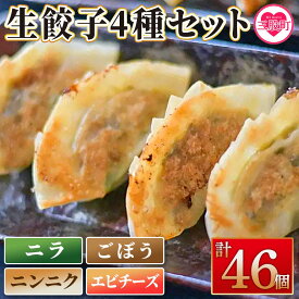 【ふるさと納税】【数量限定！】＜福栄生餃子店餃子4種（ニラ・ごぼう・ニンニク・エビチーズ）セット＞ギョウザ ぎょうざ ギョーザ にら ゴボウ にんにく 大蒜 えび 海老 チーズ 食べ比べ 冷凍 惣菜 弁当 おつまみ 簡単調理【MI286-fu】【福栄生餃子店】