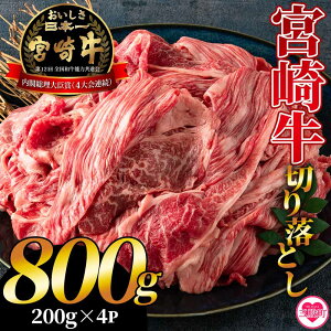yӂ邳Ɣ[Łz{苍؂藎Ƃ 800g(200g×4pbN)Y 4ȏ A5N A4N 1L јa  ~ Mtg    蕨   g₷ OҒ 