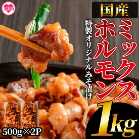 【ふるさと納税】【数量限定】＜国産牛ミックスホルモン みそ漬 合計1kg(500g×2パック)＞国産 牛肉 肉 ホルモン モツ 大腸 冷凍 焼肉 BBQ もつ鍋 煮込み 小分け 焼くだけ 簡単 タレ漬け 簡易包装【MI288-hr】【肉の豊楽】