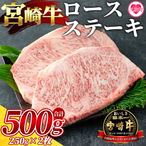yӂ邳Ɣ[Łz{苍[XXe[L 2(500g){茧Y Y [X Xe[L Ă o[xL[ BBQ Mtg  䒆 ̂t lΉ ̂Ή 蕨 p hV̓ 