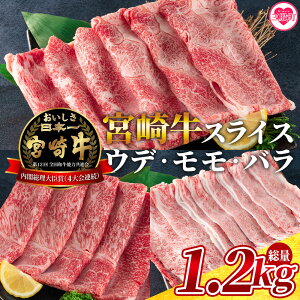 yӂ邳Ɣ[Łz{苍(EfAAo)̃XCX 1.2kg Y BY ē BBQ Ă  j oYj j Ԃ p a v[gHהׁyMI127-myzy