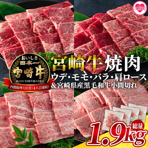 yӂ邳Ɣ[Łz{苍(EfAAoA[X)̏ēƋ{茧YaԐ؂ 1.9kg Y BY BBQ o[xL[ Ă Ԃ yMI128-myzy~`Nz