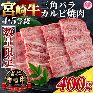 yӂ邳Ɣ[Łzyʌz{苍 4E5 󏭕ʎOpo(Jr)ē400gY BY Ă ē o[xL[ BBQ   o ΂    Zbg 䒆
