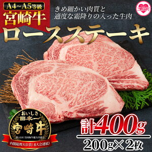 yӂ邳Ɣ[Łz{苍[XXe[L 400gi200g×2j{苍 A4 A5 [XXe[L Xe[Lp Mtg   䒆 ̂t l lΉ ̂Ή 蕨 p hV̓