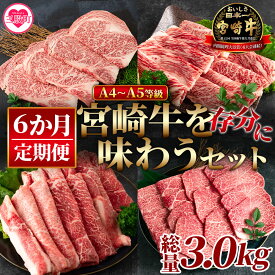 【ふるさと納税】＜【定期便6か月】宮崎牛を存分に味わうセット 総量3.0kg＞ ステーキ すき焼き 焼肉 バーベキュー BBQ 牛肉 焼き肉 宮崎県産 黒毛和牛 国産 精肉 冷凍 トレイ ブランド牛 A4 A5 キャンプ アウトドア【MI231-nh】【日本ハムマーケティング株式会社】