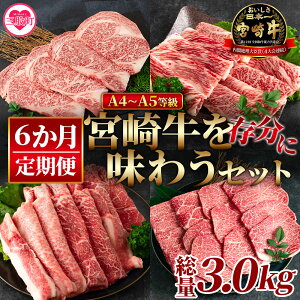 yӂ邳Ɣ[Łzy6z{苍𑶕ɖ키Zbg 3.0kg Xe[L Ă ē o[xL[ BBQ  Ă {茧Y јa Y  Ⓚ gC uh A4 A5 