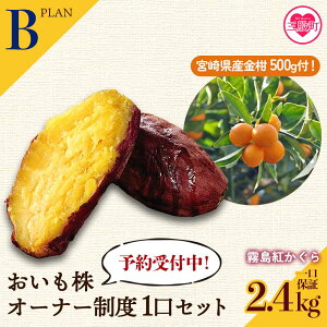 yӂ邳Ɣ[Łzys\tzyBzI[i[x1Zbg2 g(Œ2.4kgۏ)+Yi2026N12{ɂ܂Ƃ񂩂͂ITc}C ܈