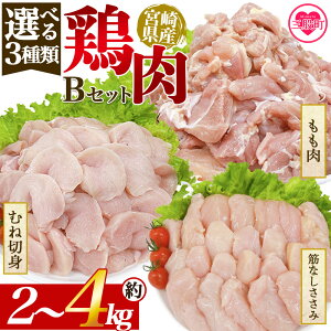 yӂ邳Ɣ[ŁzIׂ3 {茧Y {BZbg Y {     g₷ pbN ^Ⓚ ؂g Iׂ鐔 ٓ y 炠 ƂĂ ʌ BBQ o[xL