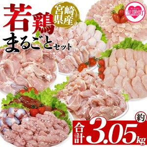 yӂ邳Ɣ[Łz{茧Y{܂邲ƃZbg 3.05kg Y {     g₷ pbN ^Ⓚ ؂g Iׂ鐔 ٓ y 炠 ƂĂ ʌ BBQ o[xL