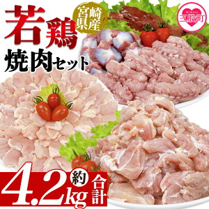 yӂ邳Ɣ[Łz{茧Y{ēZbg 4.2kg Y {     g₷ pbN ^Ⓚ ؂g Iׂ鐔 ٓ y 炠 ƂĂ ʌ BBQ o[xL[ 