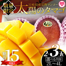 【ふるさと納税】【先行予約受付開始】【期間数量限定】2027年5月より順次発送＜宮崎県産完熟マンゴー 太陽のタマゴ＞2〜3玉入 2L〜4L 大玉 国産 九州 宮崎 マンゴー 完熟 旬 夏 果物 フルーツ セット冷蔵配送 果実 高級 【B-0606-yk-x1】【みまたんよかもん協同組合】