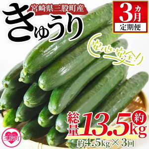 �y�ӂ邳�Ɣ[�Łz���y3��������ցz�y���Ԍ���z�p���b�ƊÂ����@�̂��イ�� �}�W�L���[��4.5kg×3�񁄋{�茧�Y���イ��(���ʖ�13.5kg�E��4.5kg×3��)��� ���Y�����͔| �L���E�� �yMI200-yt�z�y��