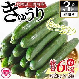 【ふるさと納税】＜【3ヵ月定期便】【期間限定】宮崎県産きゅうり(約2kg)×3回＞(総量約6kg・約2kg(3本入り×5袋)×3回)野菜 国産 胡瓜 促成栽培 キュウリ 詰め合わせ 漬物 ピクルス【MI201-yt】【ゆたか農園】