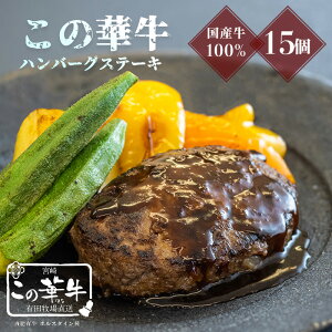 【ふるさと納税】宮崎県産特選高原有田牧場直送この華牛ハンバーグステーキ(1.5kg)牛肉100%※送料無料