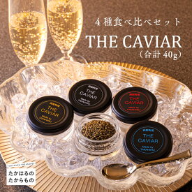 【ふるさと納税】『THE・CAVIAR（スターレット・ホワイトスタージョン・オシェトラ・バエリ）4種食べ比べセット』（合計40g） 冷凍 養殖 高級 自社加工 湧き水 チョウザメ 宮崎県 送料無料 高原町で霧島連山の良質な湧水育ち 故郷納税 92000円 10万円以下