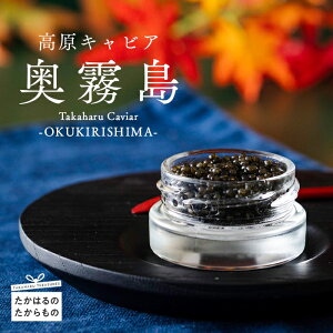 yӂ邳Ɣ[Łz{茧YI wTakaharu Caviarx20gijn ̉ LrA Ⓚ {B  ЉH  AR N `EU  YȎRɌb܂ꂽ 