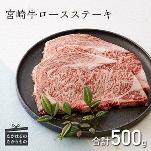 yӂ邳Ɣ[Łz~`N { u{苍ṽ[XXe[L 2(500g) uh tb4A a  јa Y a  {茧  ̋ [ 