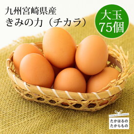 【ふるさと納税】九州宮崎産 赤たまご『きみの力（チカラ）』Lサイズ 赤卵75個 赤玉子 大容量 コスパ・ボリューム満点卵セット 空気と水のきれいな霧島連山の麓の町でミネラルたっぷりの上質な完全配合飼料ですくすく育った鶏が産む卵は甘くておいしい逸品 送料無料 故郷納税