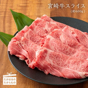 【ふるさと納税】宮崎牛スライス(約600g・冷凍)