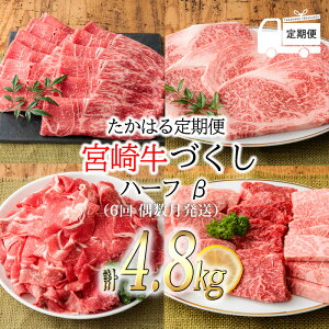 yӂ邳Ɣ[Łz{u{苍v̊u:͂փn[t (6 ) tb4A  Mtg   uh јa | {茧