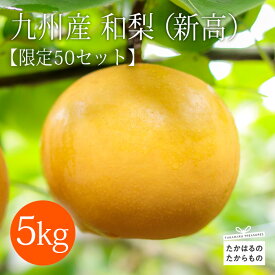 【ふるさと納税】限定50組 令和7年産 先行受付 9月下旬 産直 九州産 梨「新高(にいたか)」 5kg フルーツ 滑らか食感 すっきりとさわやかな甘さジューシー 果物 果汁たっぷり みずみずしい 贈答 ギフト 贈り物 宮崎県高原町産 ナシ なし 送料無料 故郷納税 14000円 1万円台