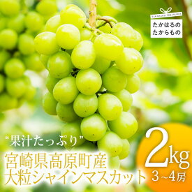 【ふるさと納税】ぶどう 葡萄 果物 先行受付 期間限定 日本一太陽を浴びて育った宮崎の大粒シャインマスカット 約2kg 3〜4房 新田果樹園 霧島天然水 ハリのある一粒 果汁たっぷり 種なし 人気 ギフト 贈答 旬の味 高原町 産直 送料無料 故郷納税 20000円 2万円 マスカット