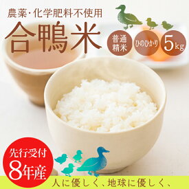 【ふるさと納税】先行受付 お米 白米 合鴨米ひのひかり 5kg 送料無料 ミネラルを高濃度で含有の霧島山麓から湧き出る名水育ち 合鴨農法 残留農薬ゼロ 安全・安心 宮崎県産 高原町産 産地直送 あいがも 2026年産 令和8年産 故郷納税 22000円