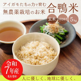 【ふるさと納税】玄米 合鴨米 有機栽培 宮崎県産 高原町産 令和7年産 合鴨米ひのひかり 玄米 5kg 送料無料 深い味わい世界でも珍しい希少ミネラルを高濃度で含有の霧島山麓から湧き出る名水育ち 合鴨農法 残留農薬ゼロ 安全・安心 産地直送 節水 2025年産 20000円 故郷納税