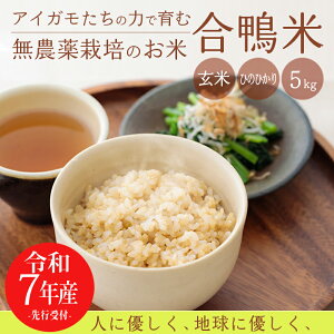 yӂ邳Ɣ[Łzst L@͔| ߘa7NY ĂЂ̂Ђ  5kg  [킢Eł󏭃~lZxŊܗL̖R[No閼炿 _@ c_
