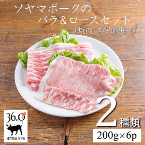 yӂ邳Ɣ[Łz\}|[Ño[XZbg2 1.2kg(100g×12pbN) [X o e200g ̒łƗnĂ㎿Ȏ ꂾ|ƊÖ ؓ 3mm ē uߕ 