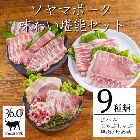 【ふるさと納税】ソヤマポークの味わい堪能セット全9種類(生ハム しゃぶしゃぶ 焼肉・炒め物用) 1.1kg 小分け 使いきり包装 9パック 口の中ですっと溶けていく上質な脂 溢れだす旨味と甘味 豚肉 日々の献立、晩酌にぴったり 国産 宮崎県 高原町 送料無料 13000円