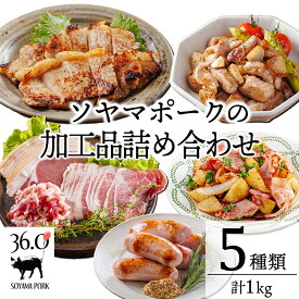 【ふるさと納税】ソヤマポークの加工品詰め合わせ 5種類 計1kg 小分け セット 口の中ですっと溶けていく上質な脂 溢れだす旨味と甘味 豚肉 日々の献立やお弁当にもぴったり 国産 宮崎県 高原町 送料無料 13000円
