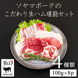 �y�ӂ邳�Ɣ[�Łz�ڎw�����̂͑̉��ŗn���鎉 �\���}�|�[�N�̐��n�����\�Z�b�g4��� �v8�p�b�N �ؓ� ���n�� ���܂� ���[�X �p���`�F�b�^ ���� �n�������[�X �H�ה�� �����ʂ��߂ɐݒ�